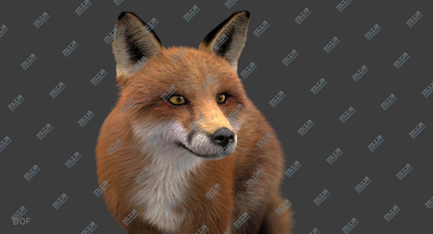 images/goods_img/202104021/3D model Fox (2) (RIG) (Fur)/5.jpg
